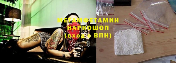 прущие грибы Абинск