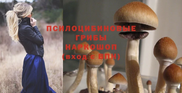 каннабис Абаза