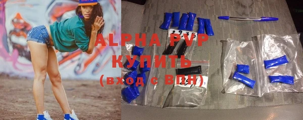 прущие грибы Абинск