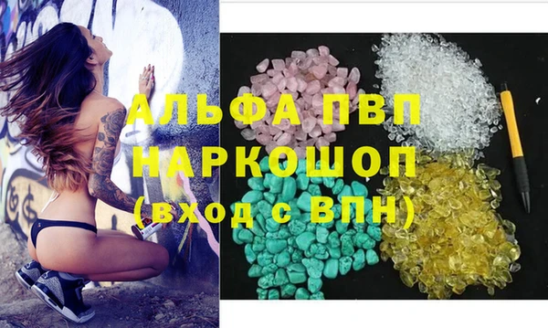 прущие грибы Абинск