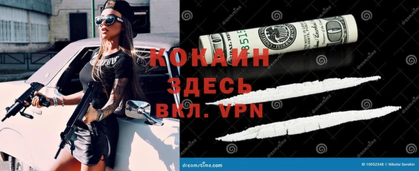 прущие грибы Абинск